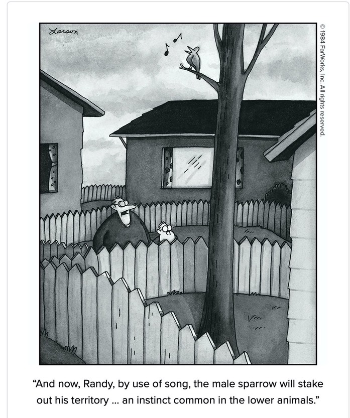 farSide