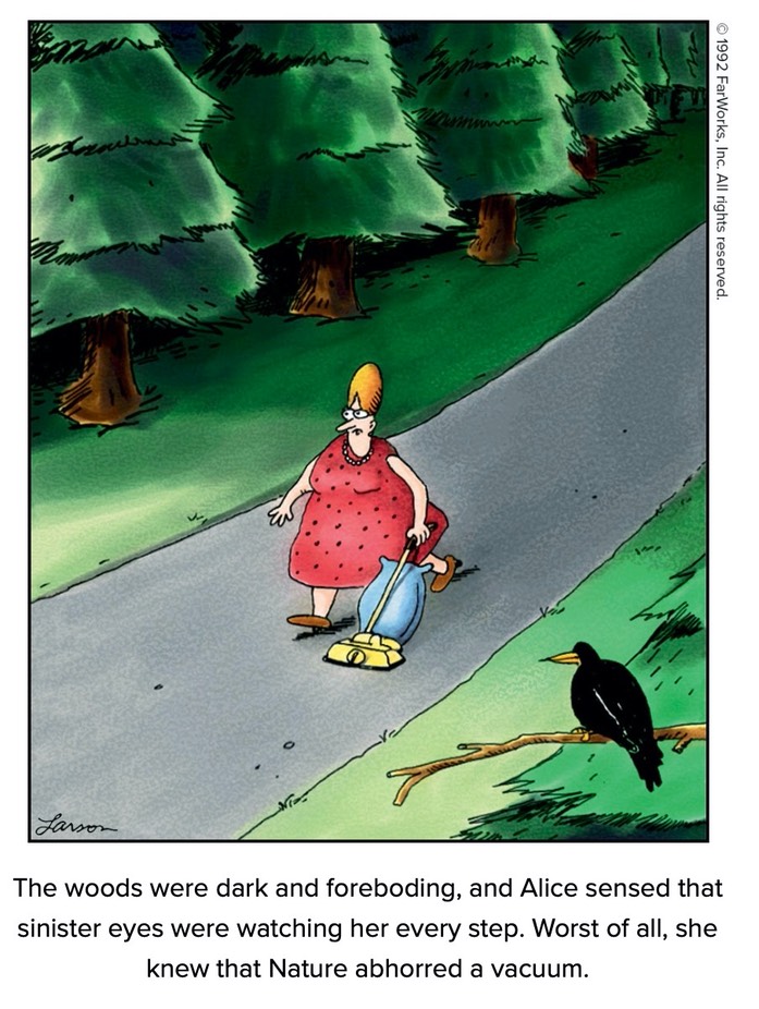 NatureAbhorsVacuum